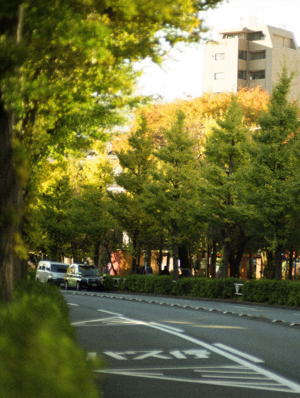 REALGATE Yoyogiuehara Bldg.